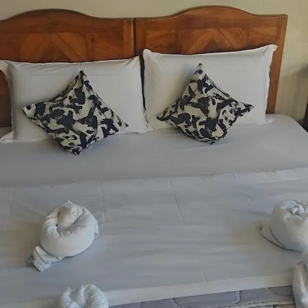 Walk To Vatican Museum Apartment *